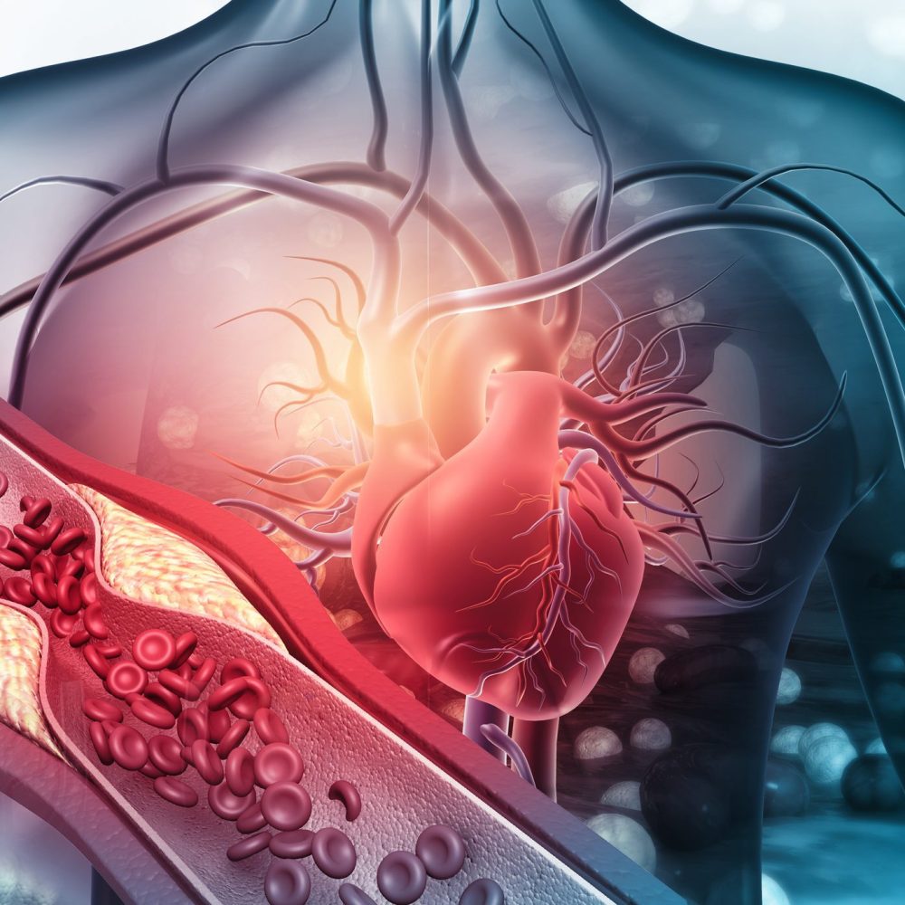 cardiovascular-system