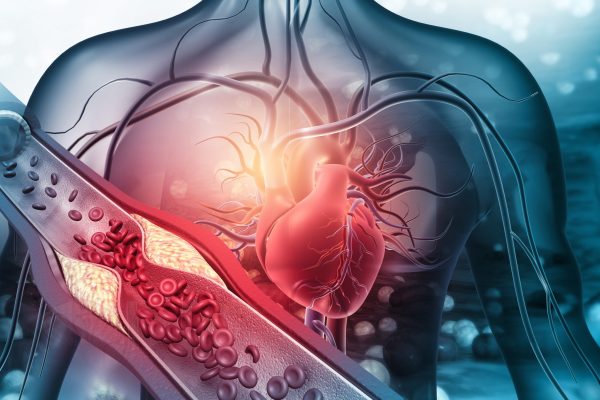 cardiovascular-system
